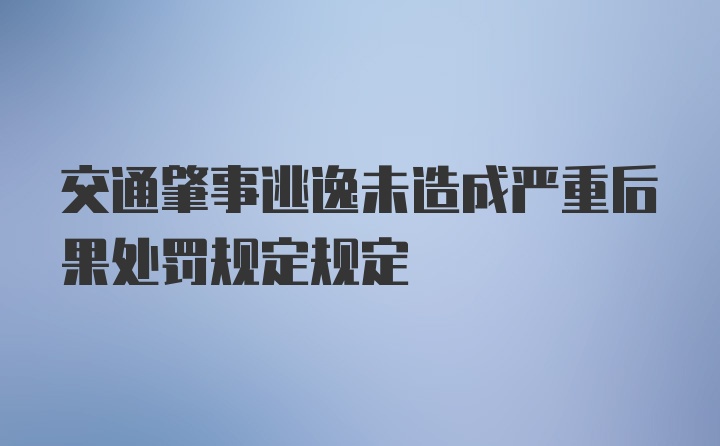 交通肇事逃逸未造成严重后果处罚规定规定