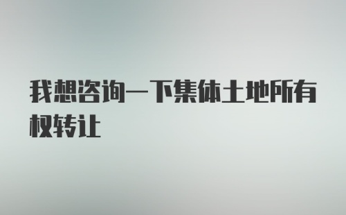 我想咨询一下集体土地所有权转让