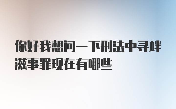 你好我想问一下刑法中寻衅滋事罪现在有哪些