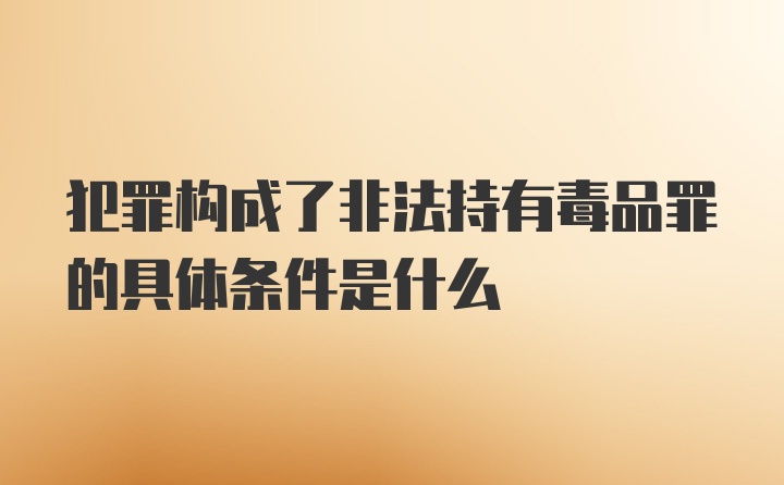 犯罪构成了非法持有毒品罪的具体条件是什么