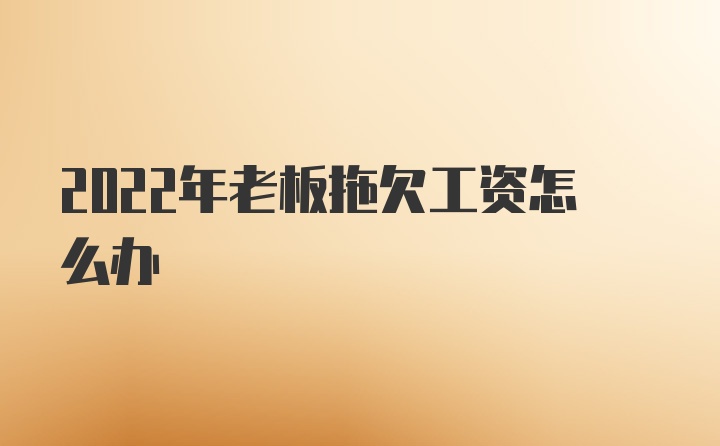 2022年老板拖欠工资怎么办