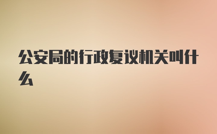 公安局的行政复议机关叫什么