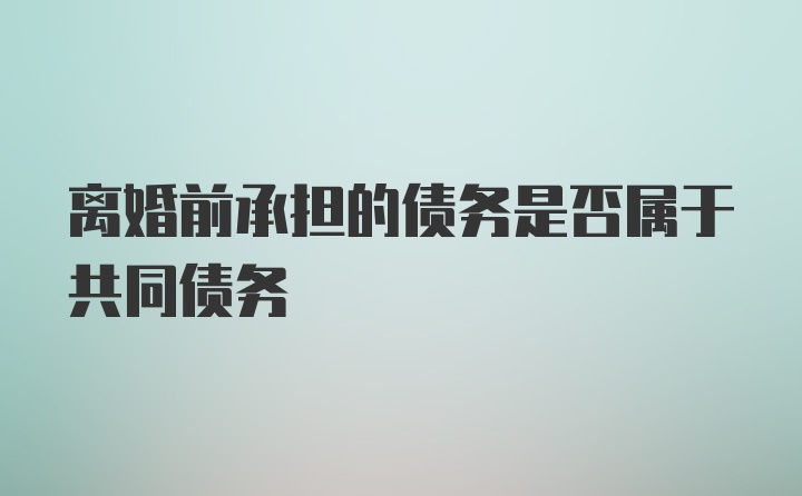 离婚前承担的债务是否属于共同债务