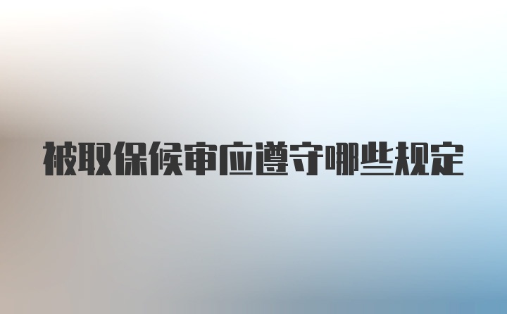 被取保候审应遵守哪些规定