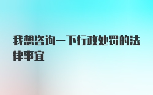 我想咨询一下行政处罚的法律事宜