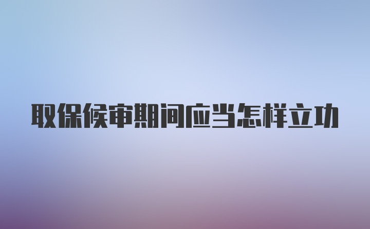 取保候审期间应当怎样立功