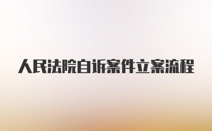 人民法院自诉案件立案流程