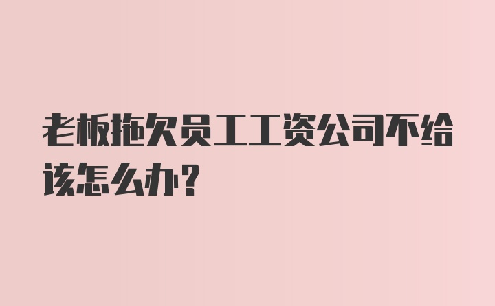 老板拖欠员工工资公司不给该怎么办？