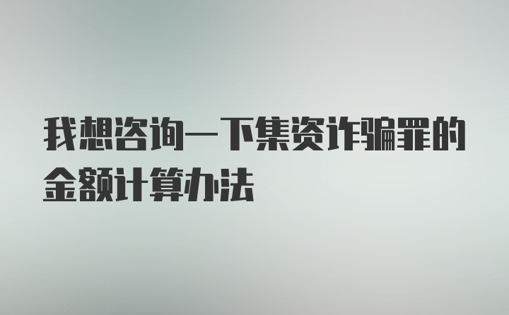 我想咨询一下集资诈骗罪的金额计算办法