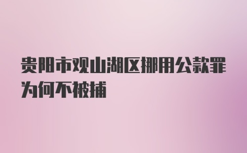 贵阳市观山湖区挪用公款罪为何不被捕