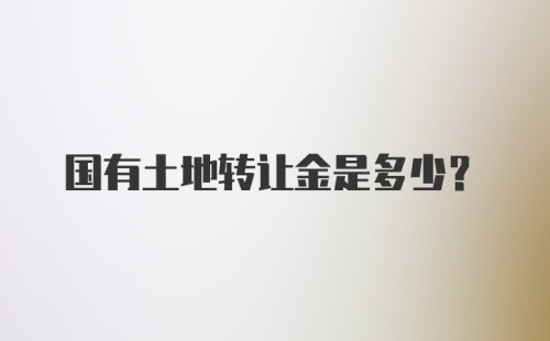 国有土地转让金是多少?