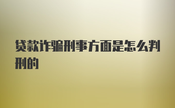 贷款诈骗刑事方面是怎么判刑的