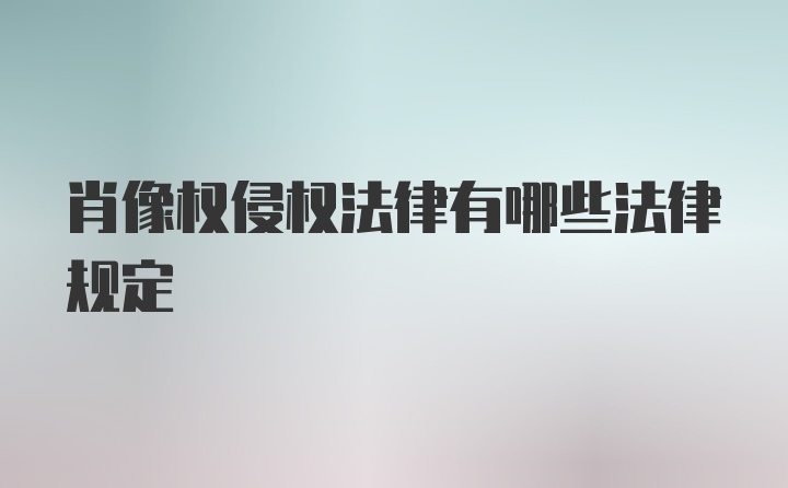 肖像权侵权法律有哪些法律规定