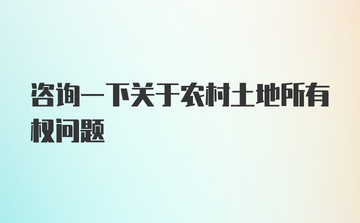 咨询一下关于农村土地所有权问题