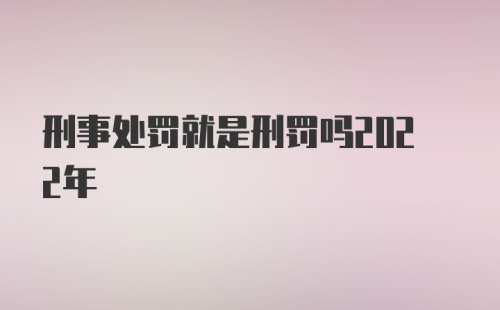 刑事处罚就是刑罚吗2022年