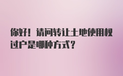 你好！请问转让土地使用权过户是哪种方式？