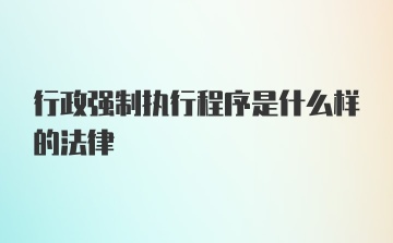 行政强制执行程序是什么样的法律