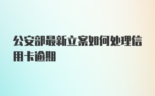 公安部最新立案如何处理信用卡逾期