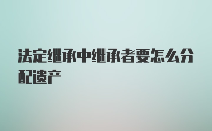 法定继承中继承者要怎么分配遗产