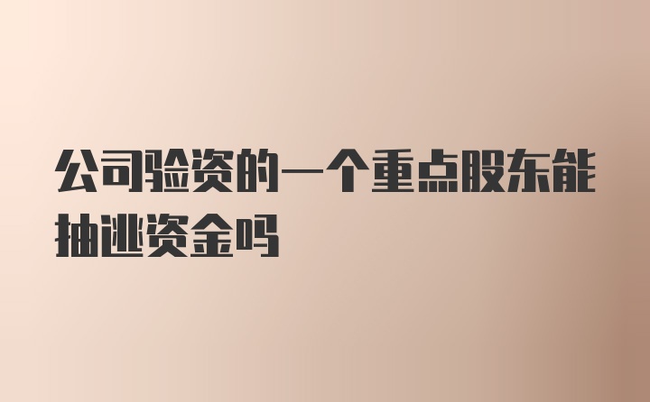 公司验资的一个重点股东能抽逃资金吗