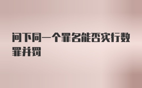 问下同一个罪名能否实行数罪并罚