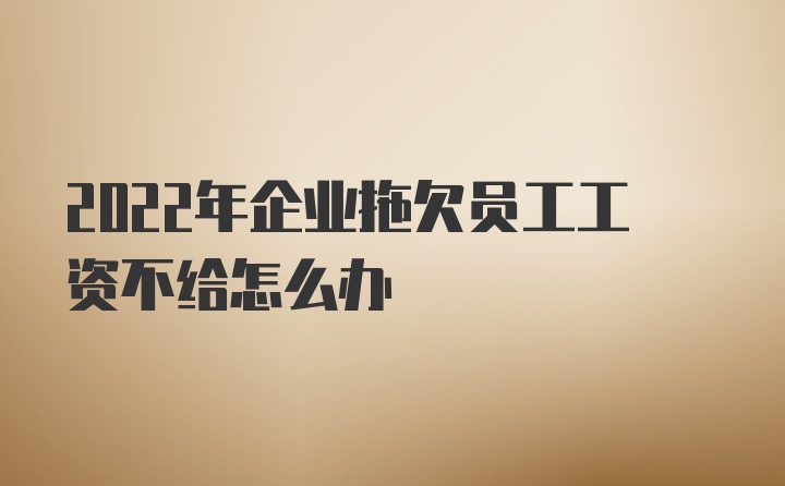 2022年企业拖欠员工工资不给怎么办