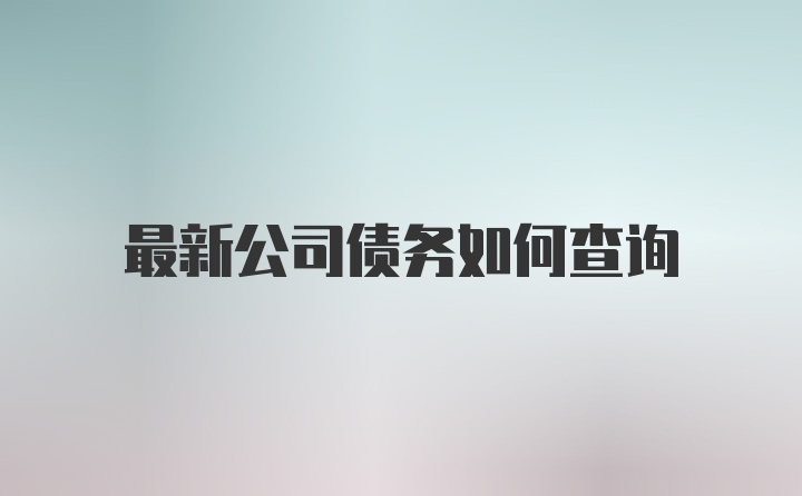 最新公司债务如何查询