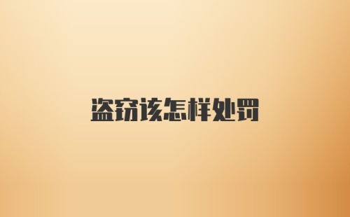 盗窃该怎样处罚