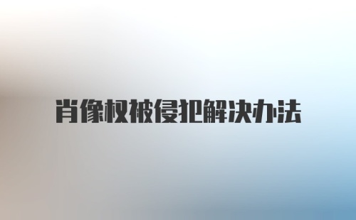 肖像权被侵犯解决办法