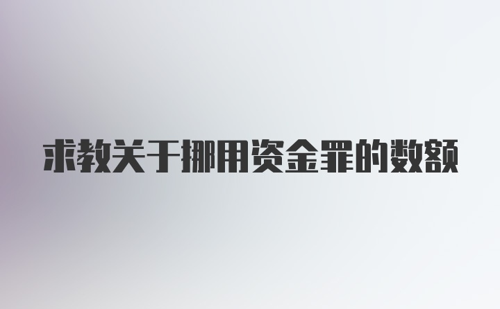 求教关于挪用资金罪的数额