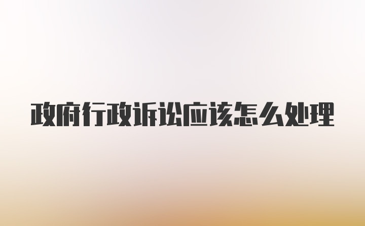 政府行政诉讼应该怎么处理