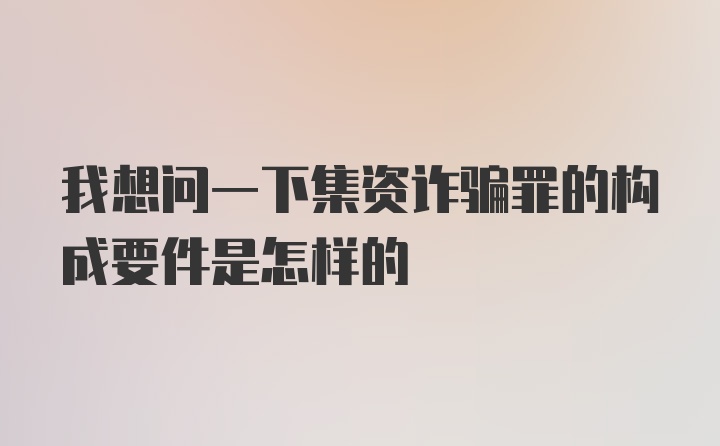 我想问一下集资诈骗罪的构成要件是怎样的