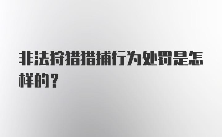 非法狩猎猎捕行为处罚是怎样的？