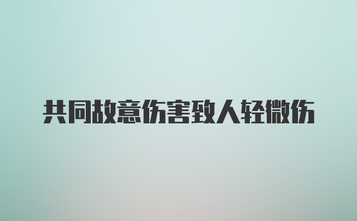 共同故意伤害致人轻微伤