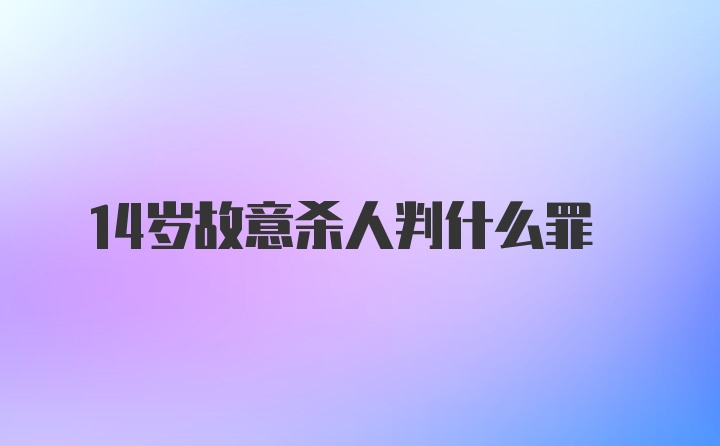 14岁故意杀人判什么罪