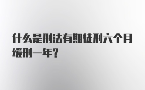 什么是刑法有期徒刑六个月缓刑一年?