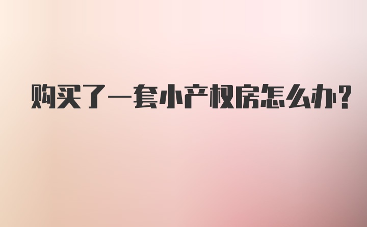 购买了一套小产权房怎么办？