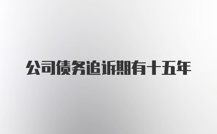 公司债务追诉期有十五年