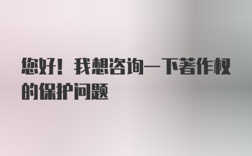 您好！我想咨询一下著作权的保护问题