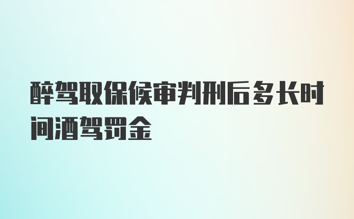 醉驾取保候审判刑后多长时间酒驾罚金