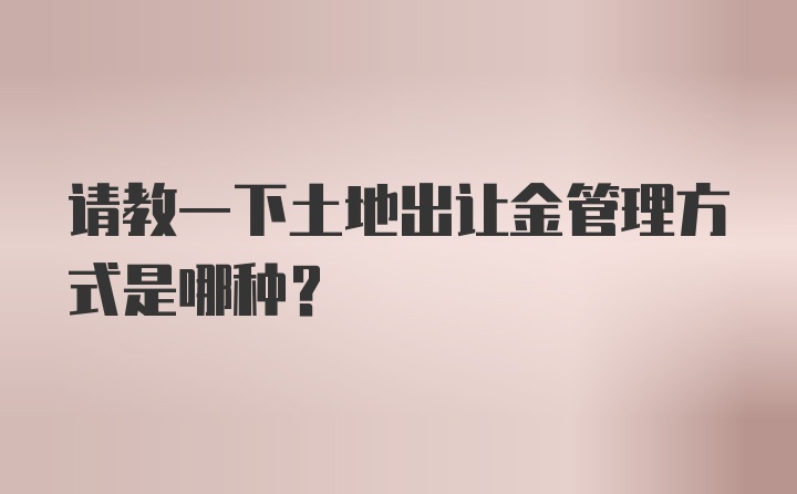 请教一下土地出让金管理方式是哪种？