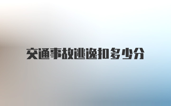 交通事故逃逸扣多少分