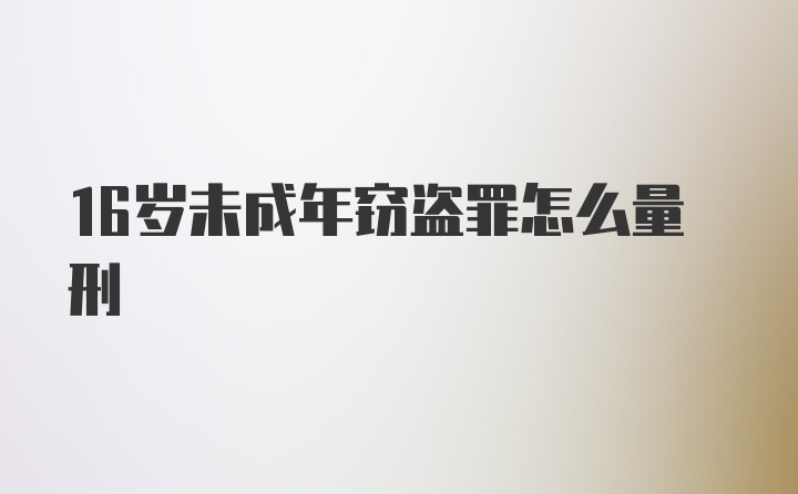 16岁未成年窃盗罪怎么量刑