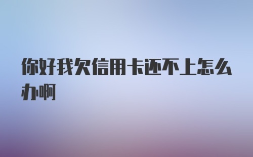 你好我欠信用卡还不上怎么办啊