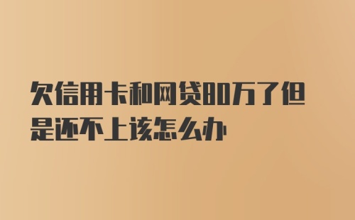 欠信用卡和网贷80万了但是还不上该怎么办