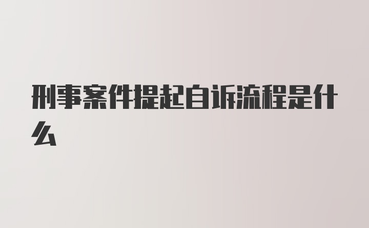 刑事案件提起自诉流程是什么