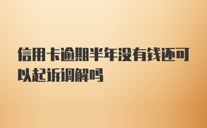 信用卡逾期半年没有钱还可以起诉调解吗