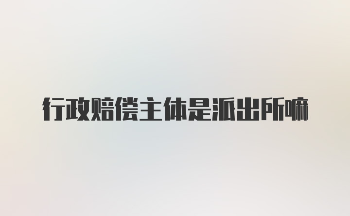 行政赔偿主体是派出所嘛