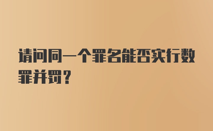 请问同一个罪名能否实行数罪并罚？