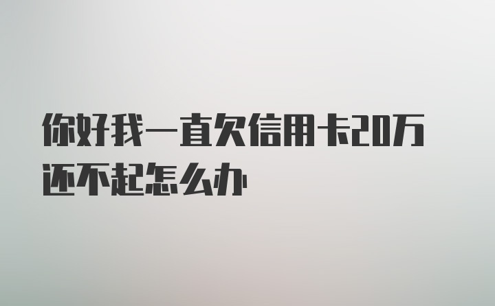 你好我一直欠信用卡20万还不起怎么办